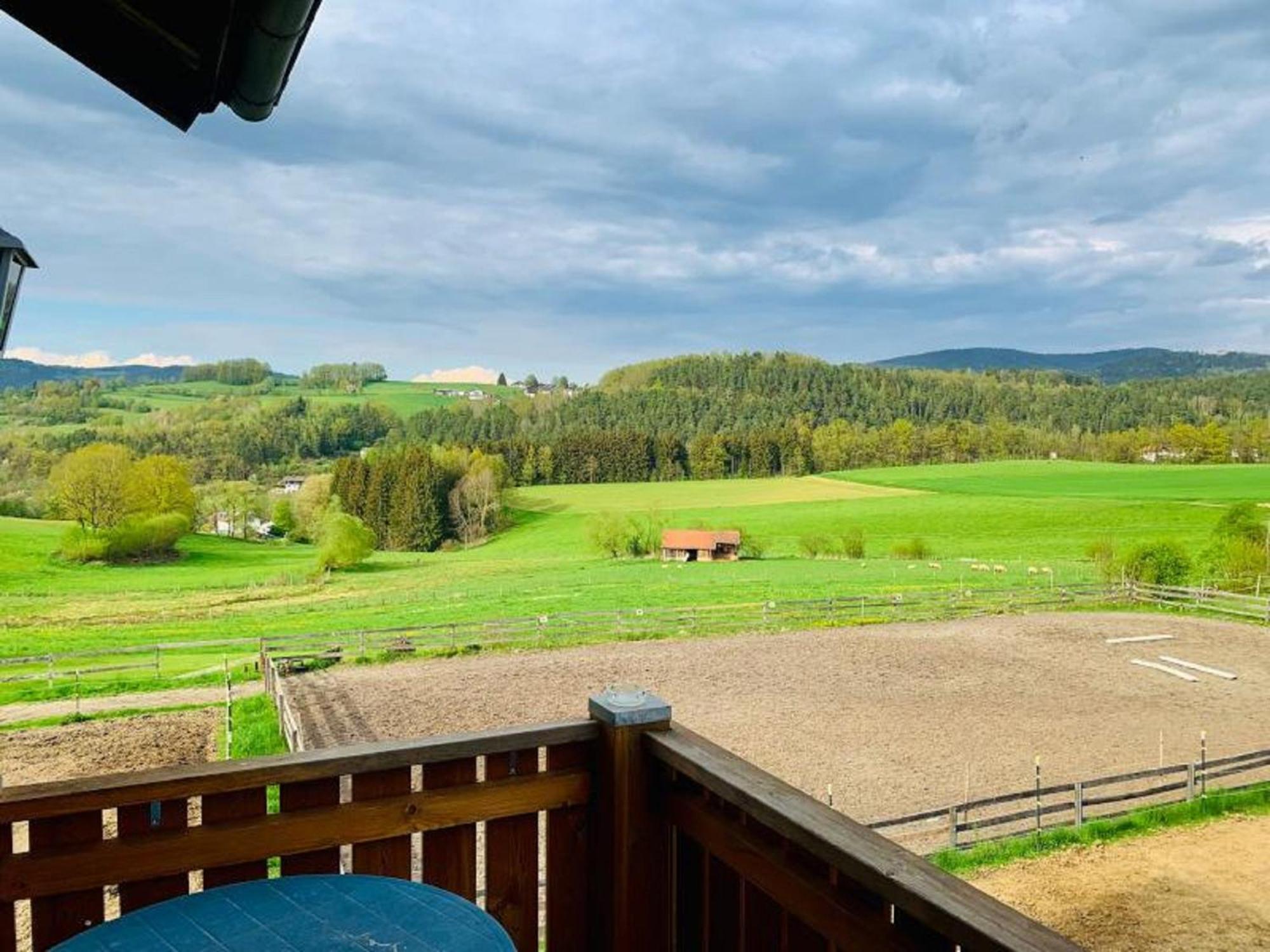 Feriendorf Schwarzholz Viechtach Dış mekan fotoğraf